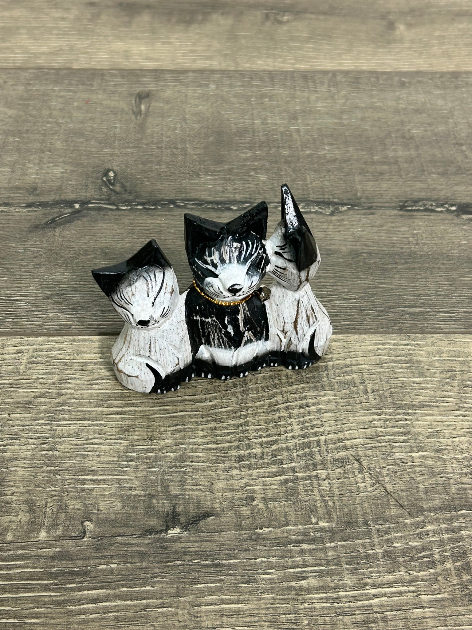 Cat Family