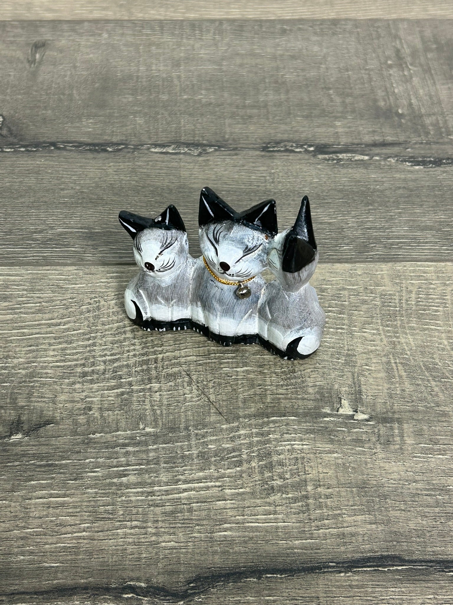 Cat Family