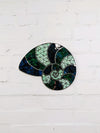 Shell Mosaic Wall Plaque