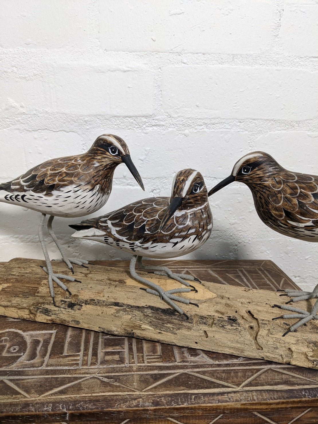 Three Birds Sitting On Log