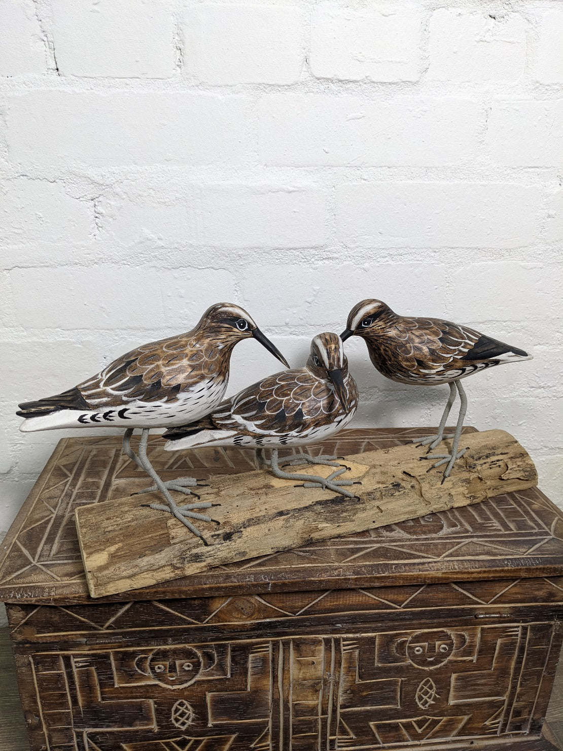 Three Birds Sitting On Log