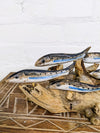 Five Silver Fish On Driftwood