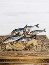 Five Silver Fish On Driftwood