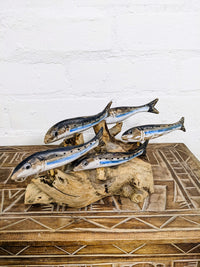 Five Silver Fish On Driftwood