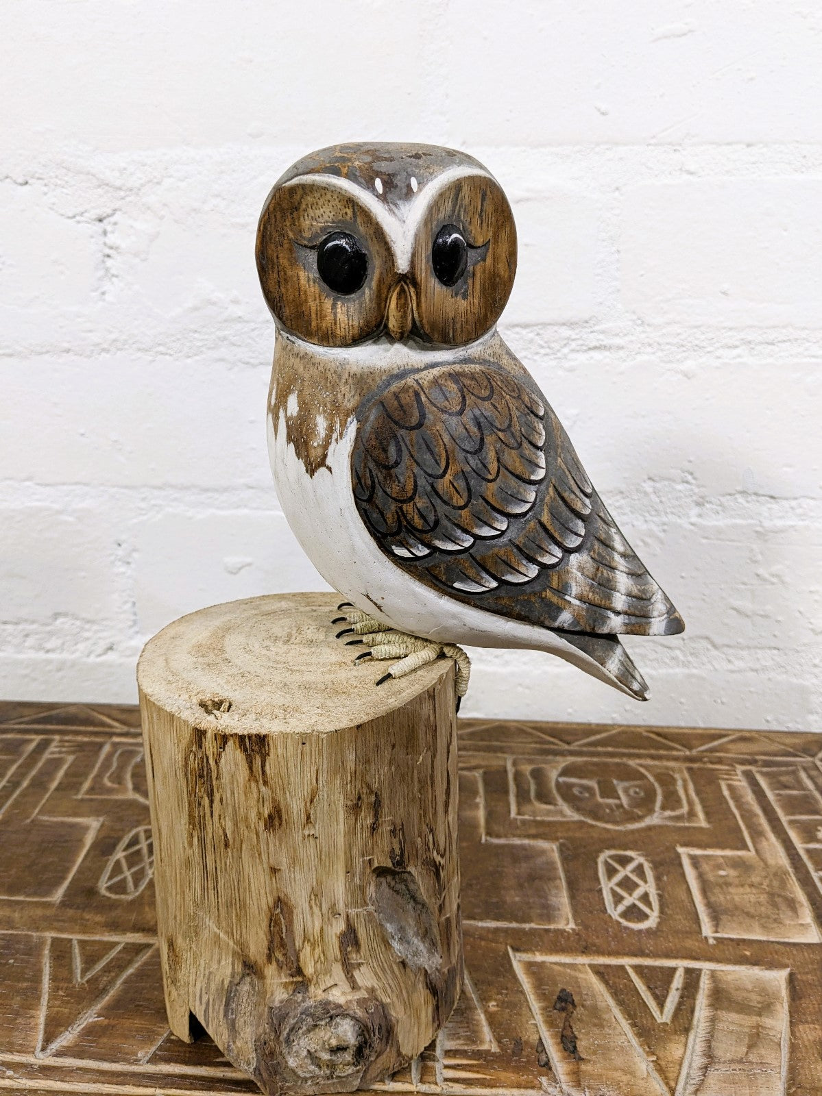 Owl On Log