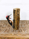 Woodpecker On Logs