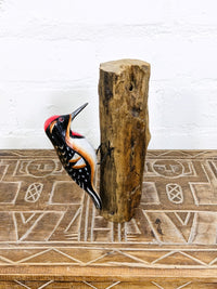 Woodpecker On Logs