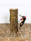 Woodpecker On Logs