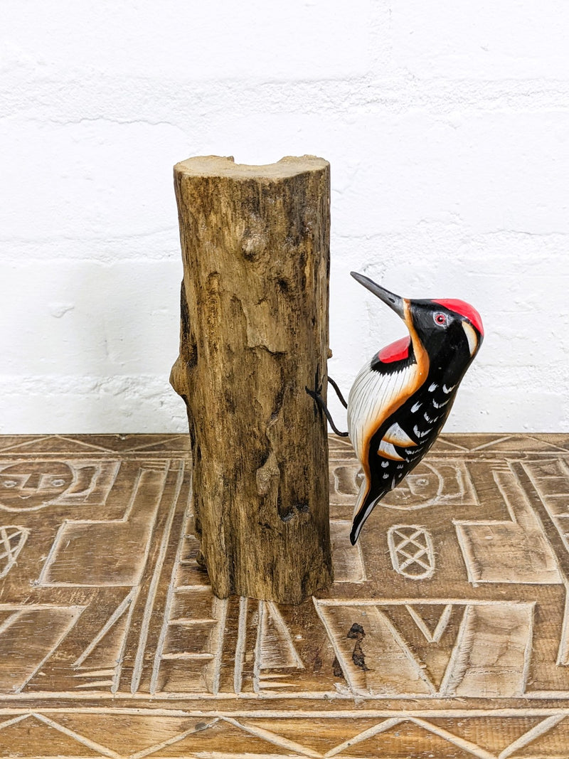 Woodpecker On Logs
