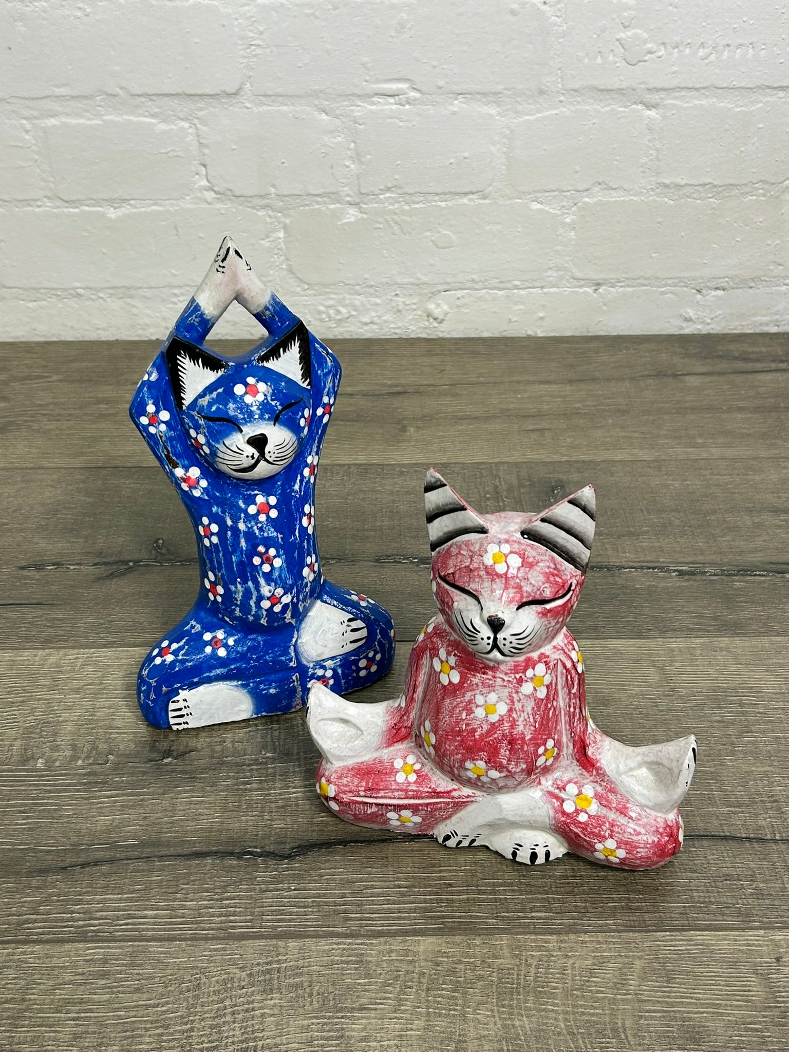 Praying Yogi Cat