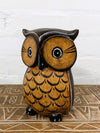 Brown Chunky Owl