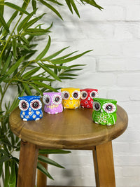 Set of 5 Bright Owls