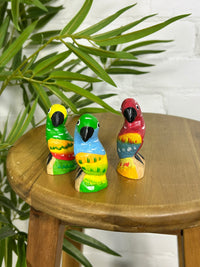Tiny Perched Parrot