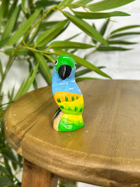 Tiny Perched Parrot
