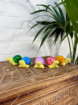 Set of 5 Turtles
