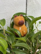 Small Happy Capybara