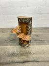 Mushroom Wall Hanger