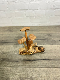 Mushrooms on Log