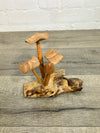 Mushrooms on Log