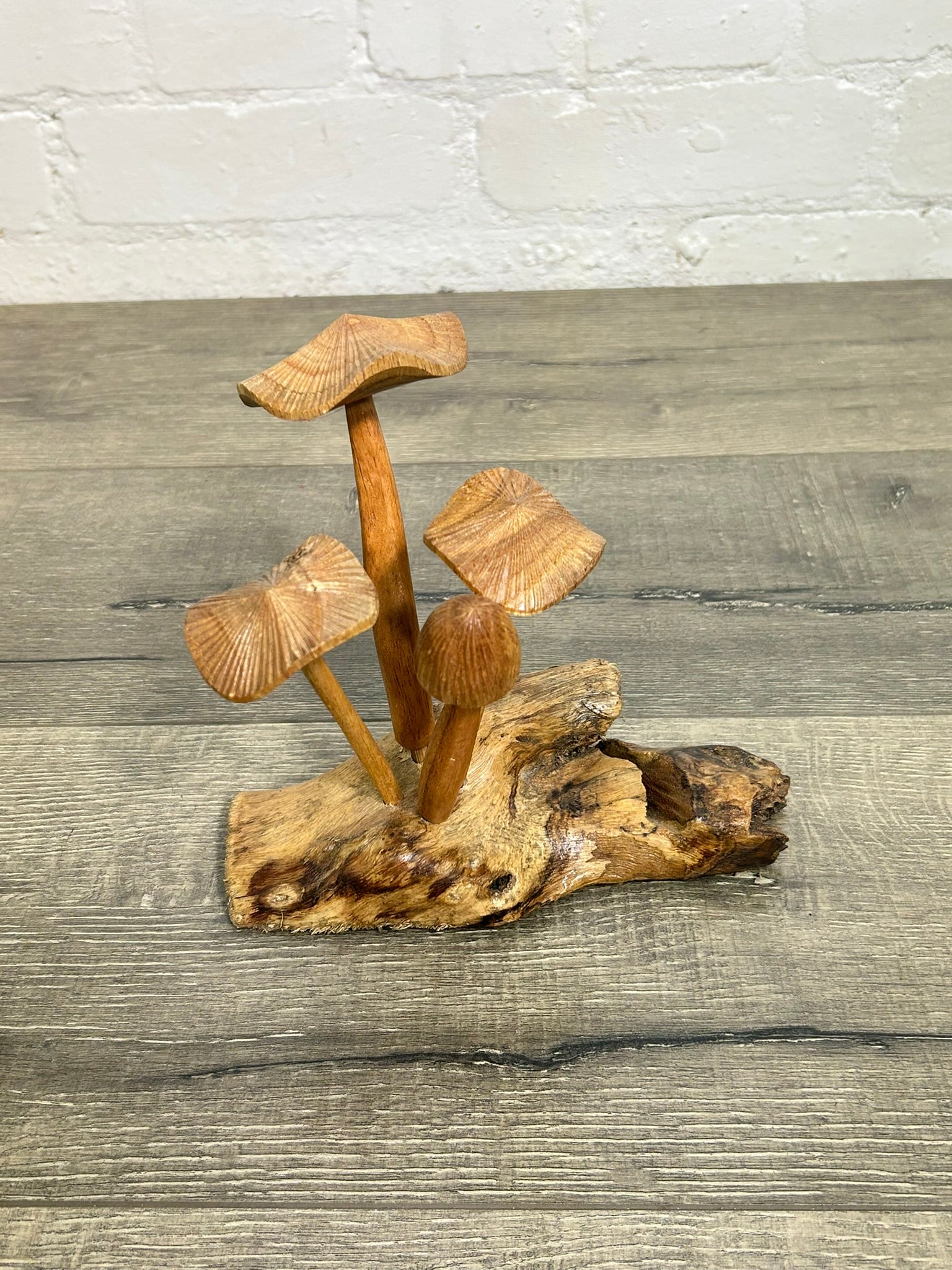 Mushrooms on Log
