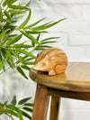 Wooden Hedgehog