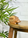 Wooden Hedgehog