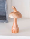 Parasite Wood Mushroom And Frog