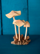 Parasite Wood Mushrooms