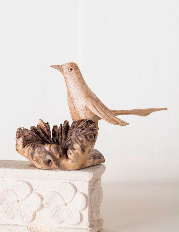 Parasite Wood Bird