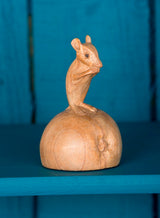 Parasite Wood Mouse On Apple