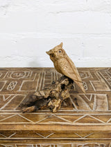 Wood Owl On Nest
