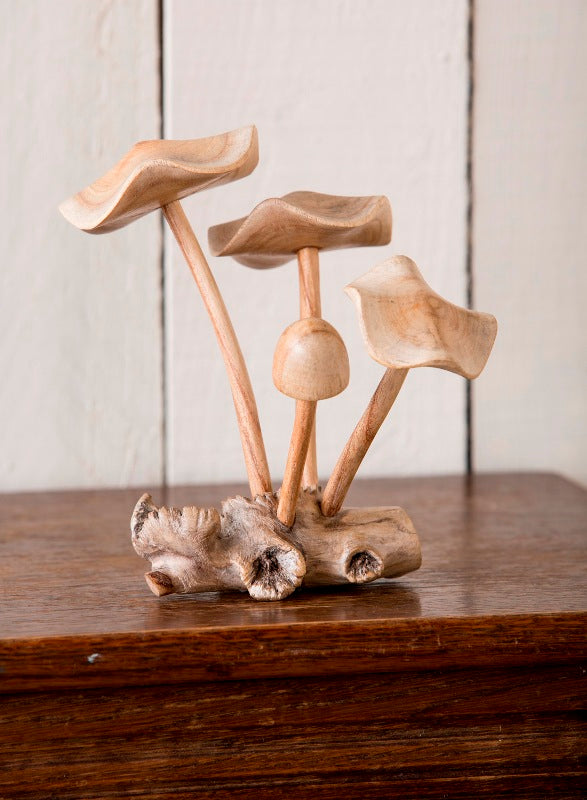 Parasite Wood 4 Mushroom Tree