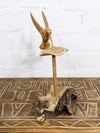 Wood Mushroom Hummingbird