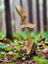 Wood Mushroom Hummingbird