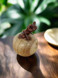 Frog Sitting On Apple