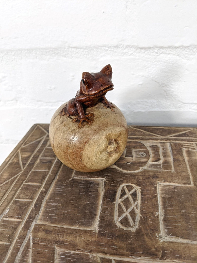 Frog Sitting On Apple