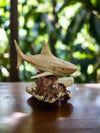 Shark On Parasite Wood