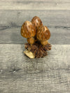 Mushrooms on Parasite Wood