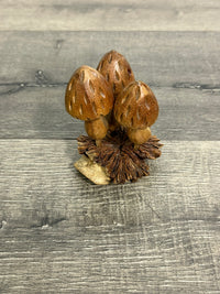Mushrooms on Parasite Wood