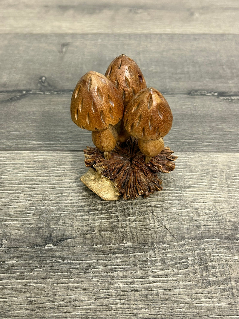 Mushrooms on Parasite Wood