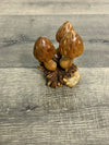 Mushrooms on Parasite Wood