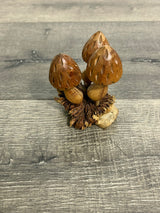 Mushrooms on Parasite Wood