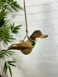 Flying Duck