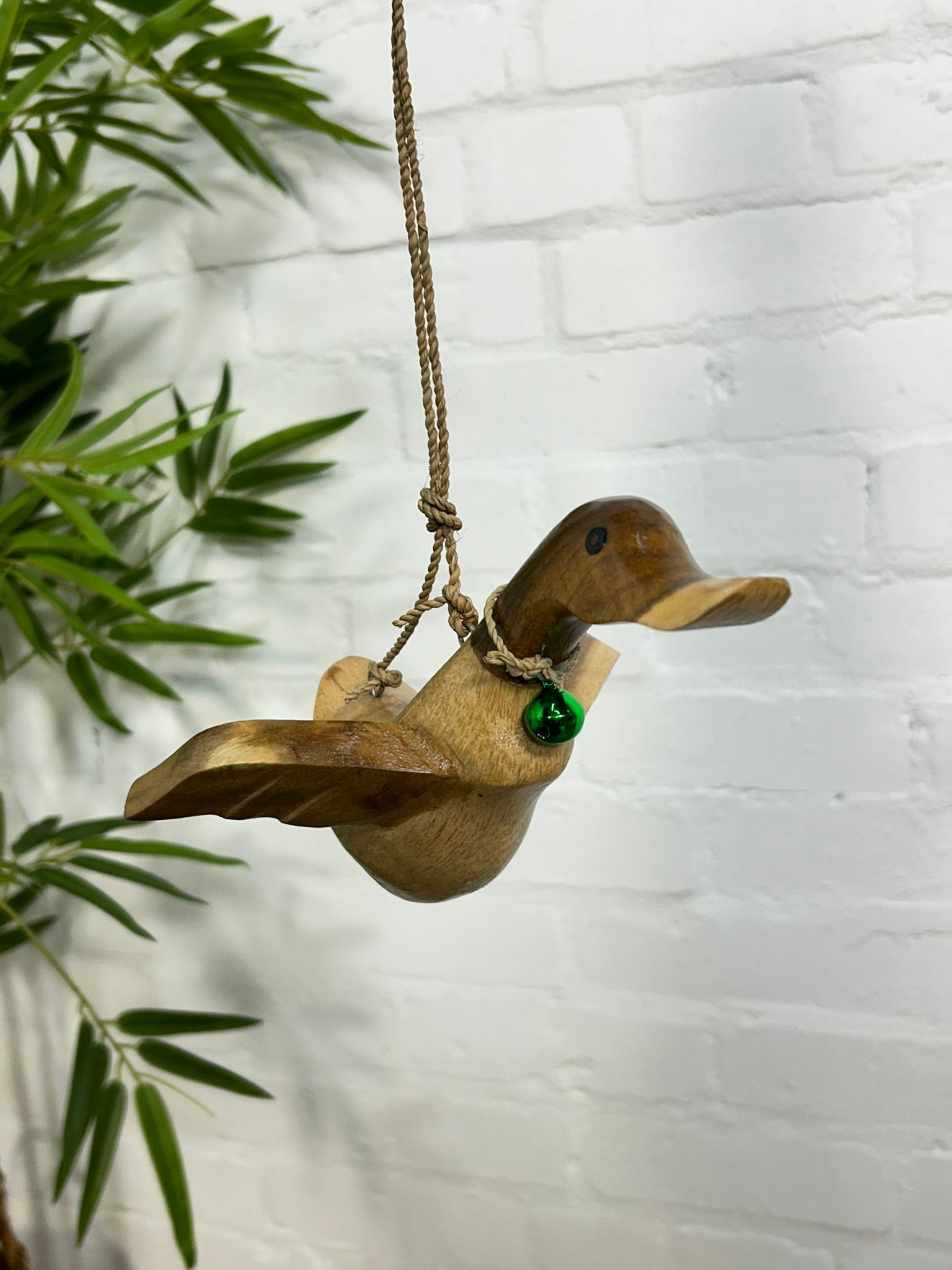 Flying Duck