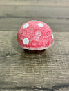 Painted Mushroom