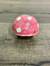 Painted Mushroom