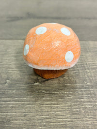 Painted Mushroom