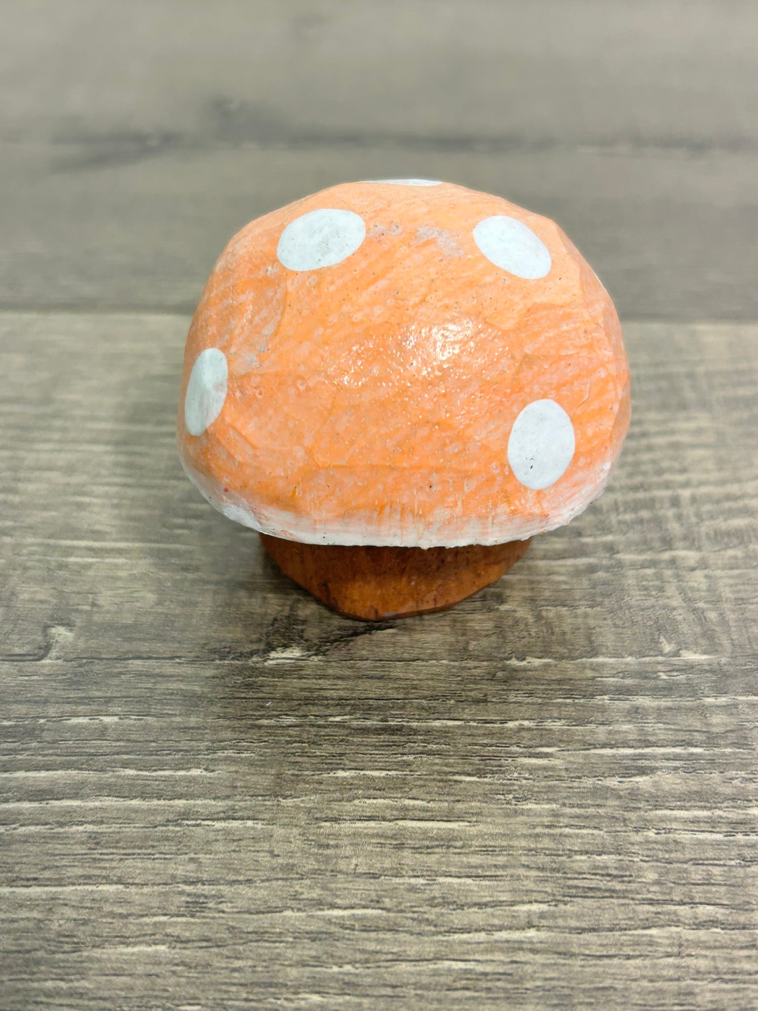 Painted Mushroom
