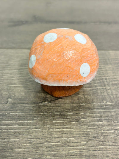 Painted Mushroom