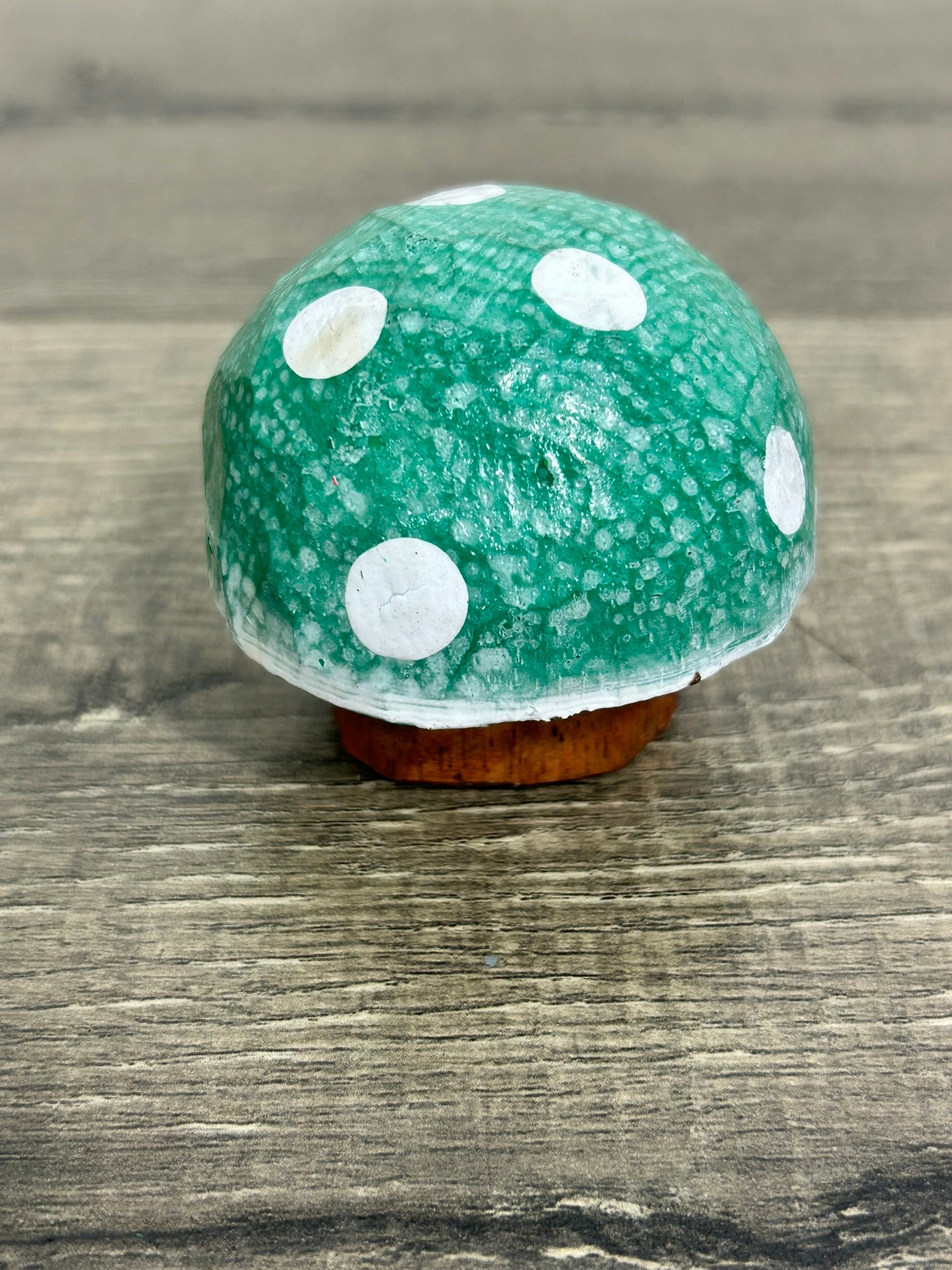 Painted Mushroom